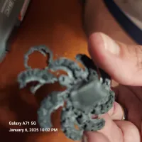 Fred the frogtupus-4