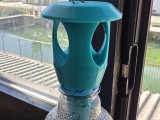 Wasp trap for bottles -0