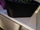 plant pot-3