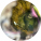 avatar of Elloxen