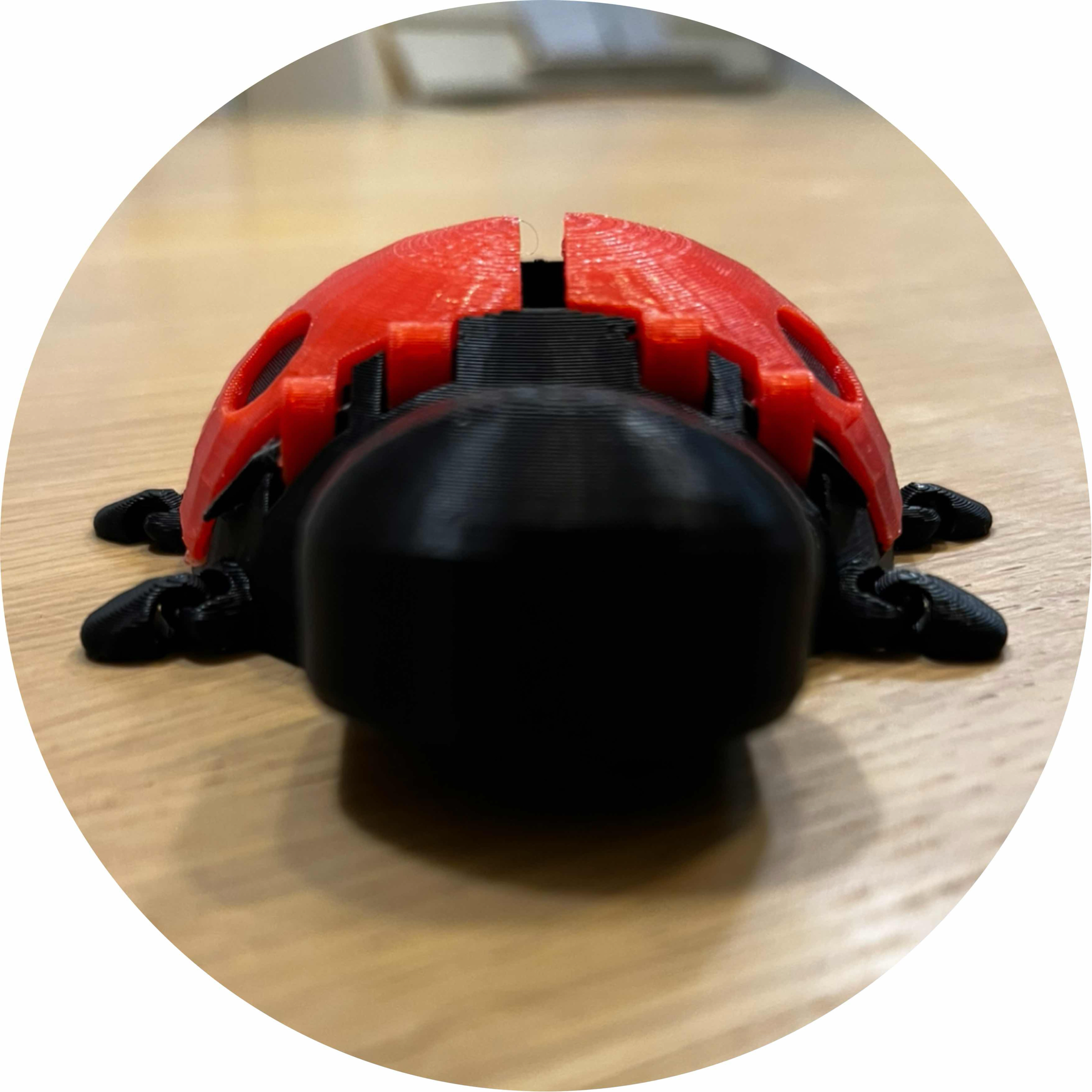 avatar of zert_FR
