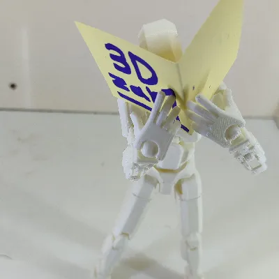 3D Zar1