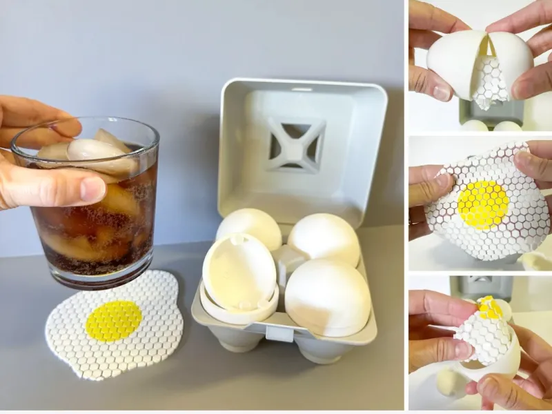 articulated egg coster and carton 