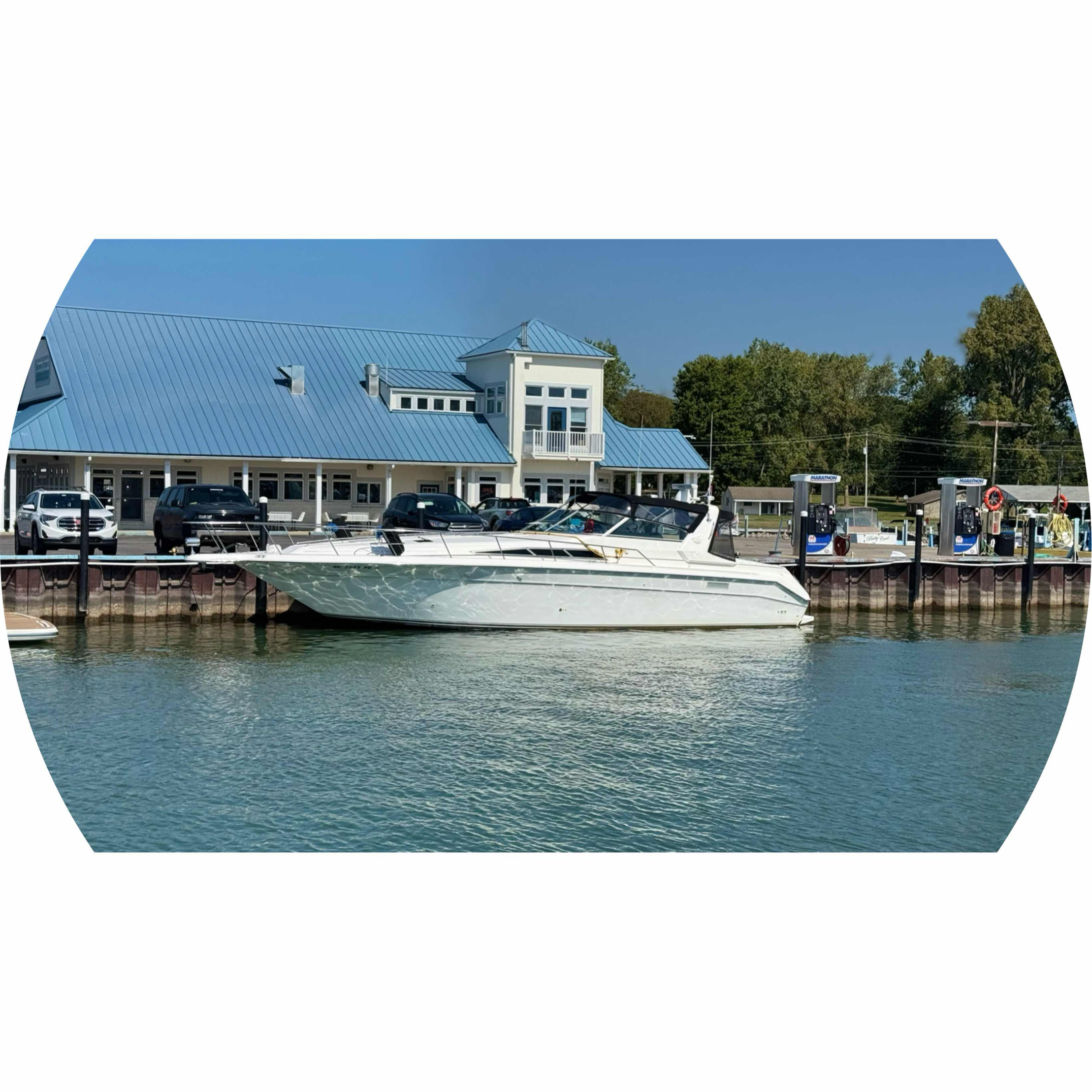 avatar of Z103DDESIGNS