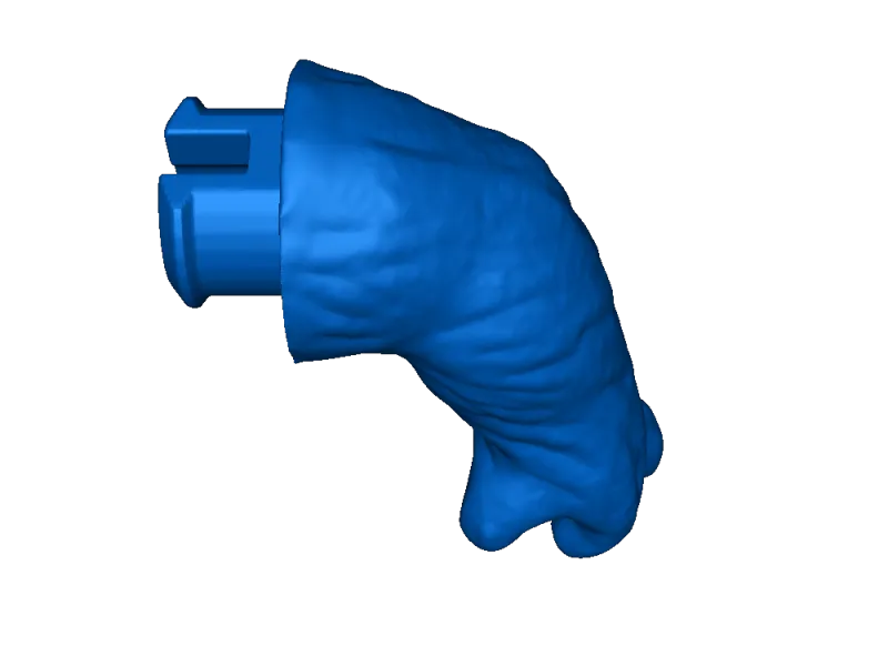 www left arm