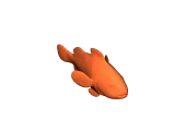 Clownfish-3