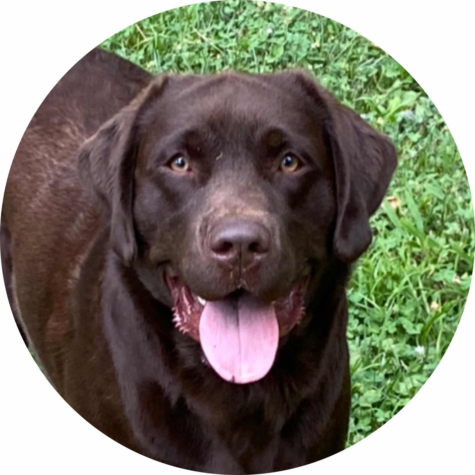 avatar of Purtdawg