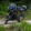 avatar of Nivo