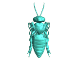 hb-0