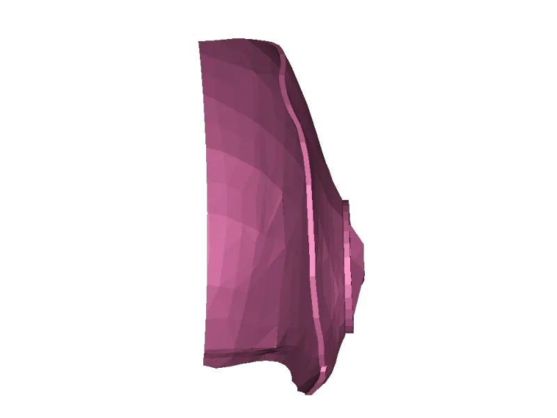 máscara zoom