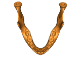 magnitic skull-6