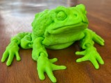 Frog-5