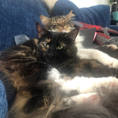 avatar of BilledOrpheous