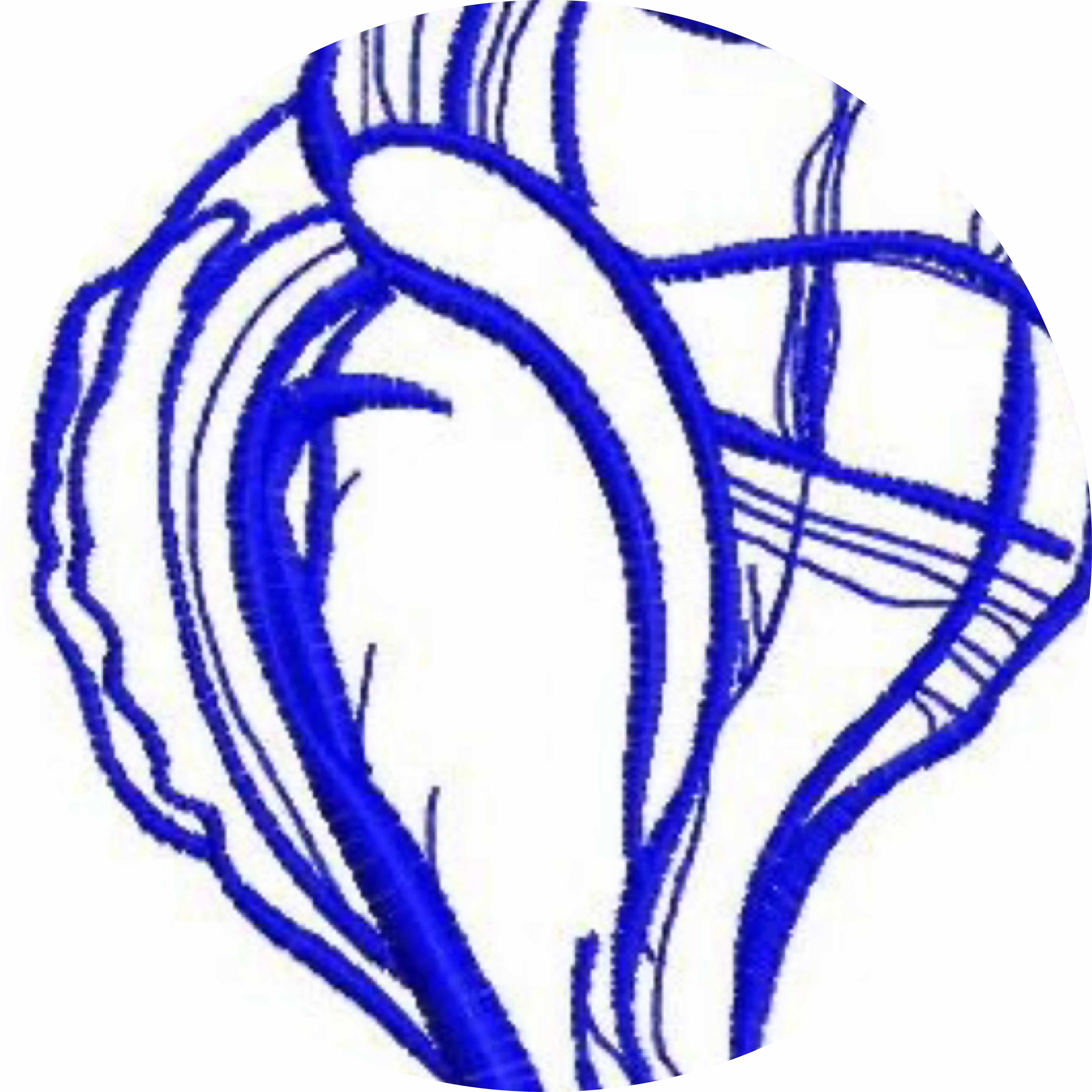avatar of AA0912