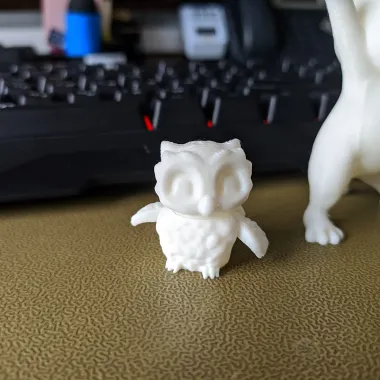 Tiny Owl-0