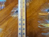 Mercury thermometer mount-1