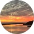 avatar of user6402747508