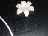 A flower for a needle button-1