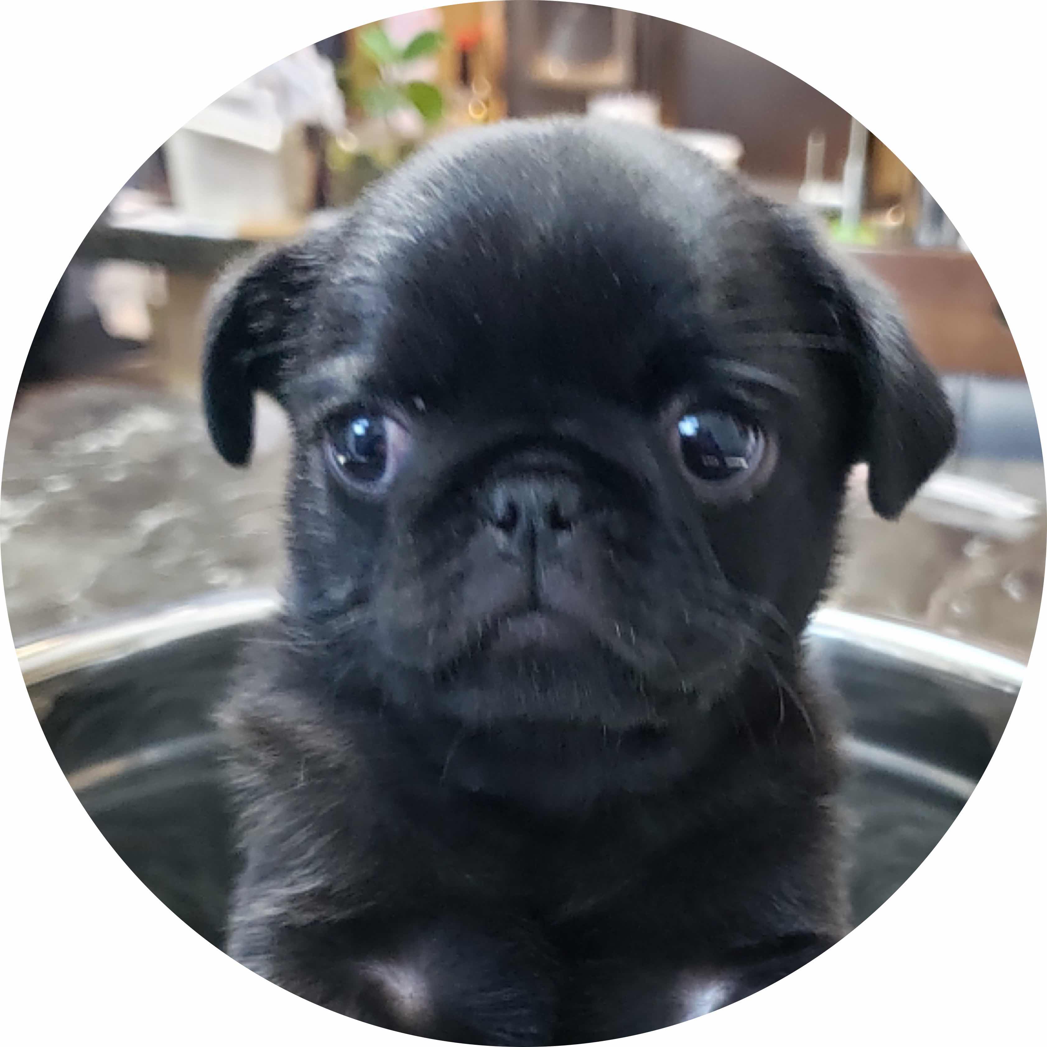 avatar of Nutcoco