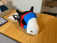 CUBONE CONTROLLER-1