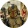 avatar of Marrone