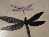 looks like a dragon fly-2