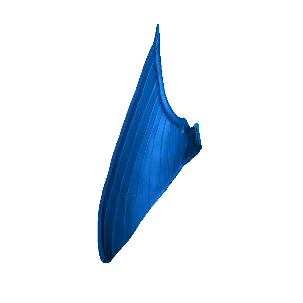 Arch Angel