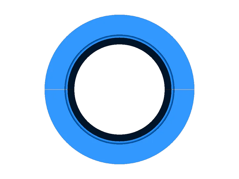 ring injector 