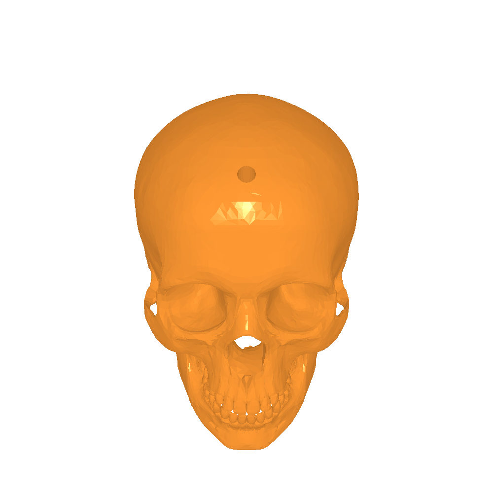 skull