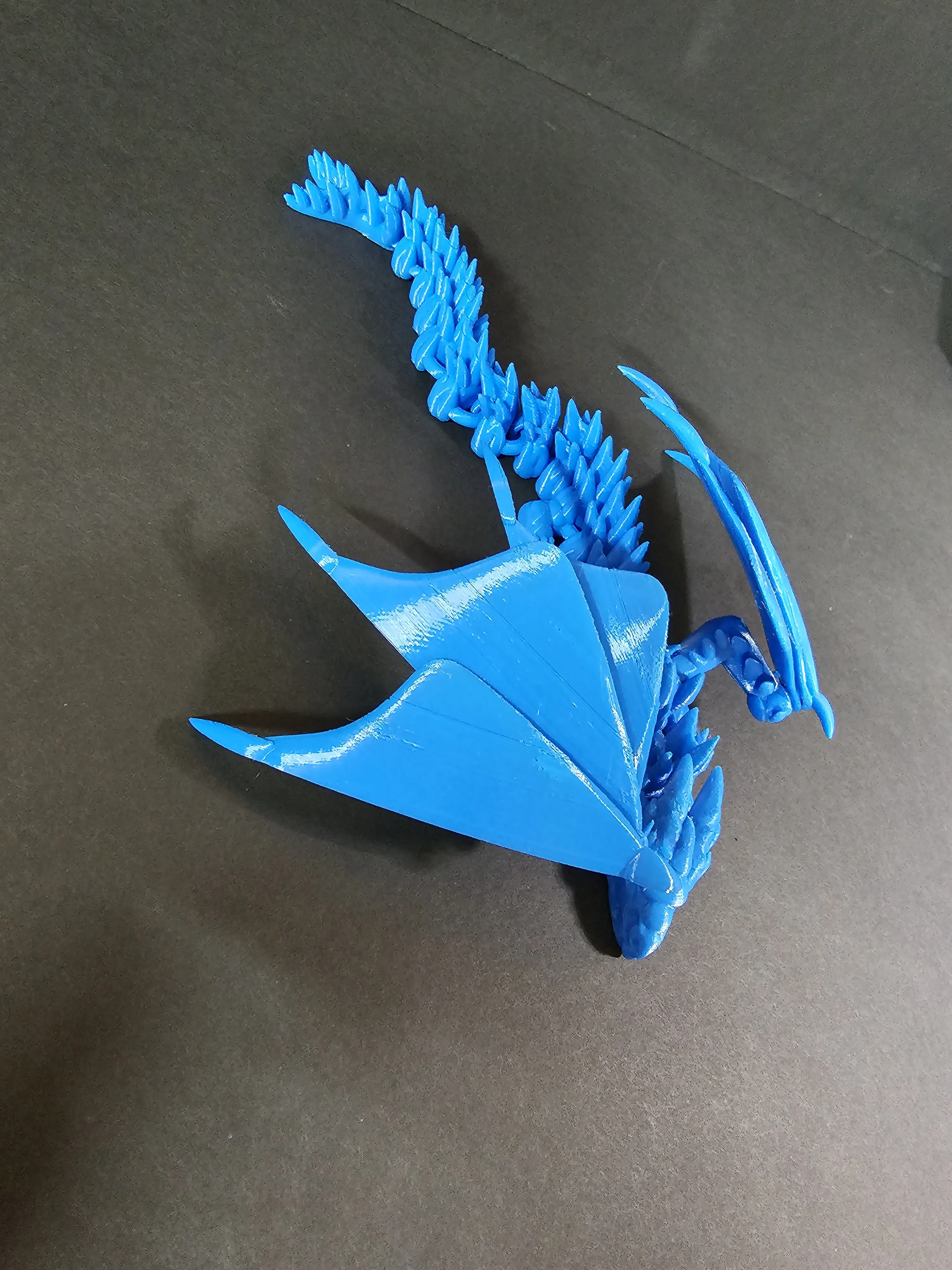 Silver Dragon-4