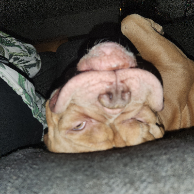 avatar of munk