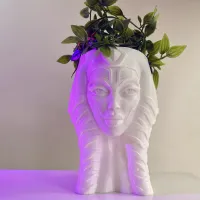 AHSOKA FLOWER POT-STAR WARS-1