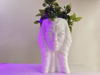 AHSOKA FLOWER POT-STAR WARS-1