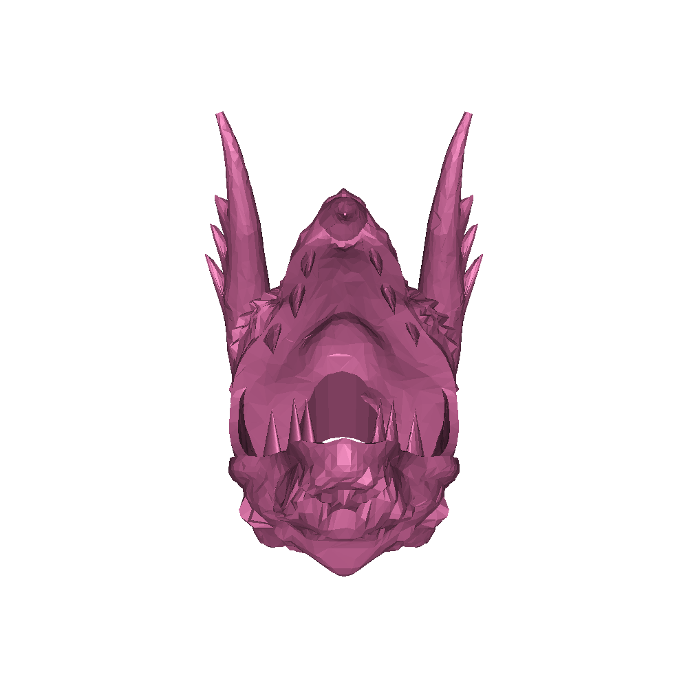 dragon head