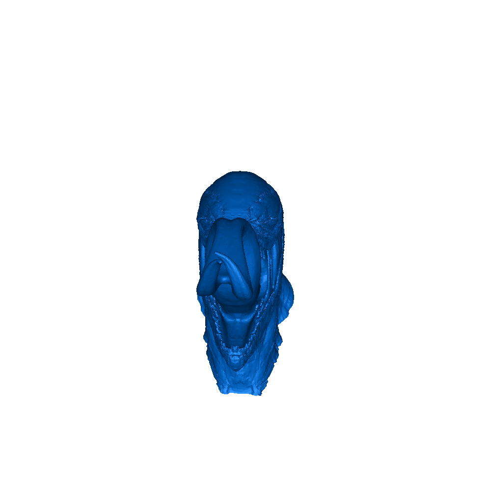 Venom Head