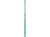 rose-1