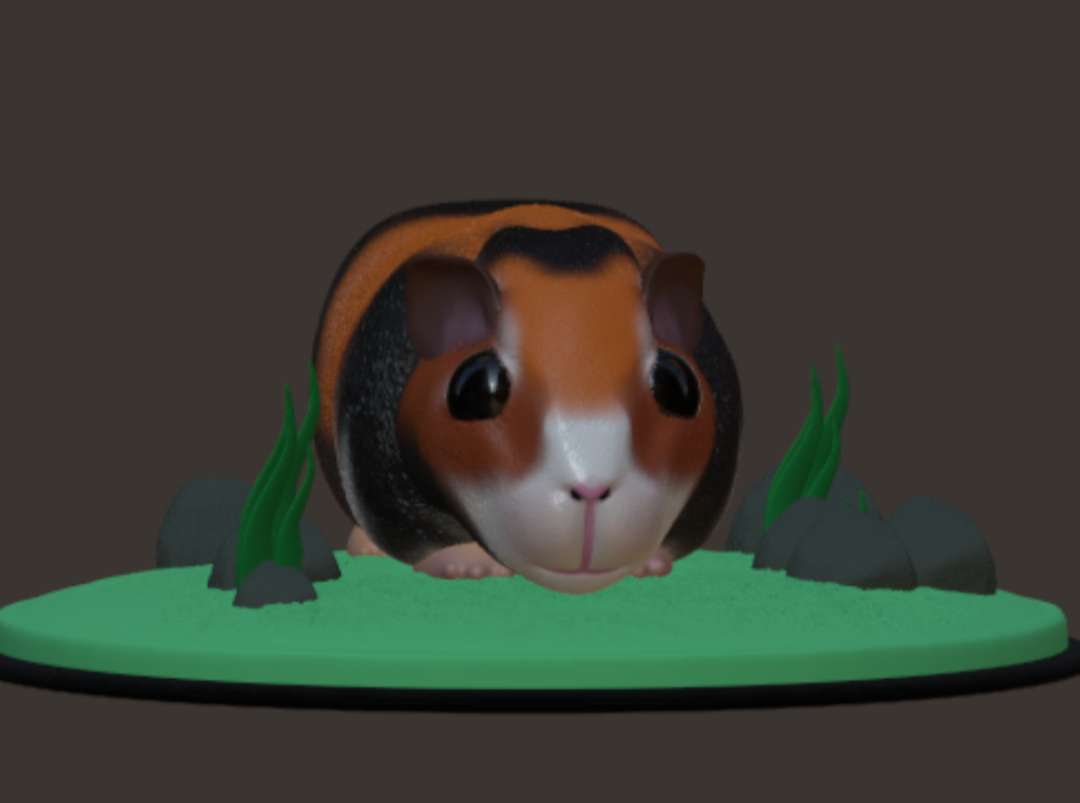 guinea pig | 3D models download | Creality Cloud