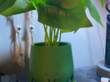 Derpy Flower Pot-0