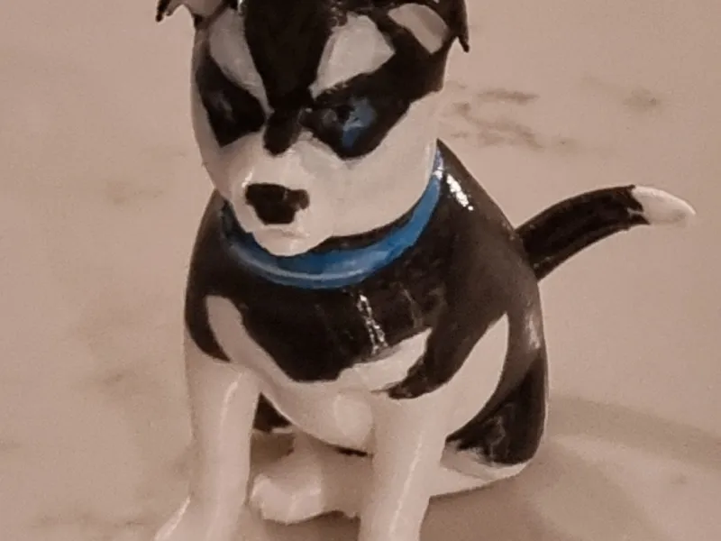 Cachorro de Husky Sombra