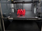 Flexi Charizard -6