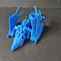 Silver Dragon-1