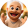 avatar of RaulMb