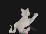 Helicopter Mama Cat-3