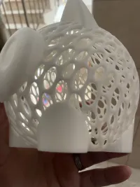 Piggy Bank-1