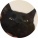 avatar of Kounterkloxkwize