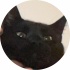 avatar of Kounterkloxkwize