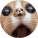 avatar of Holden_Binkley