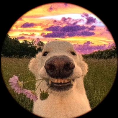 avatar of Nuck