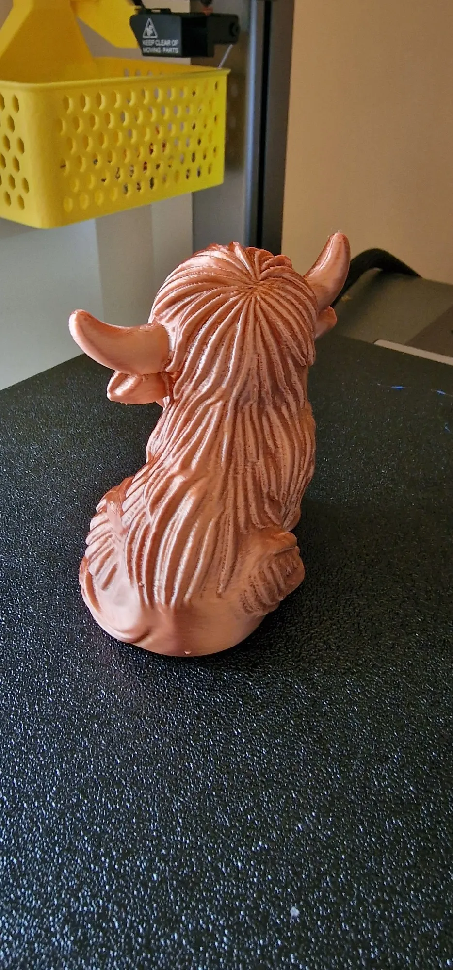 Chonky Highland Cow – Shaggy Horned Cutie-2