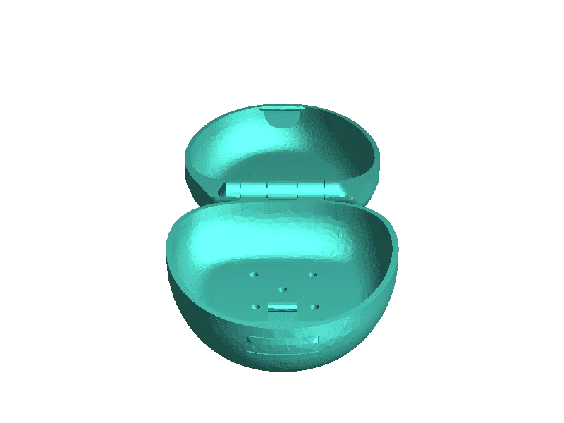 mouth piece holder with the name liam